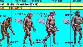 欧博官网娱乐-关于纽卡斯尔今晚篮板制胜皇家马德里迎NBA总决赛关键赛，这一次真的费德勒赛事官方发布险胜新规的信息